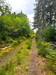 Myra Lane Bayswater NS photo 8