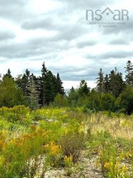 Myra Lane Bayswater NS photo 9