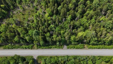 Upper Branch Road & Spruce Drive Hemford NS photo 2