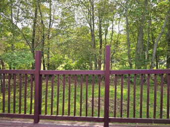 115 Starr Street Bridgewater NS photo 34