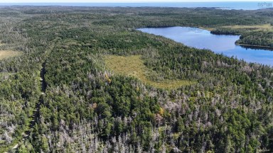 226 acre Mackenzie Lake Rd Framboise NS photo 5