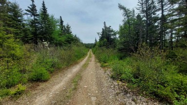 226 acre Mackenzie Lake Rd Framboise NS photo 6