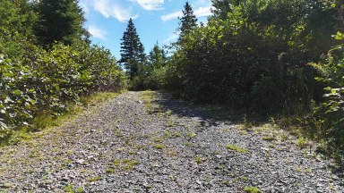 226 acre Mackenzie Lake Rd Framboise NS photo 7